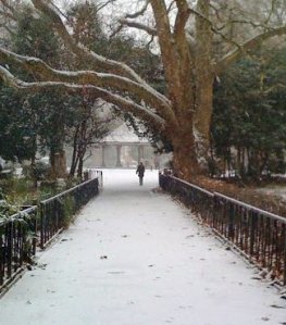 72054_174691602562504_8008711_n